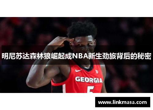 明尼苏达森林狼崛起成NBA新生劲旅背后的秘密 明尼苏达森林狼崛起成NBA新生劲旅背后的秘密